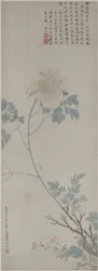 Pivoine