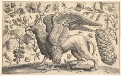 Un griffon, 1625-77