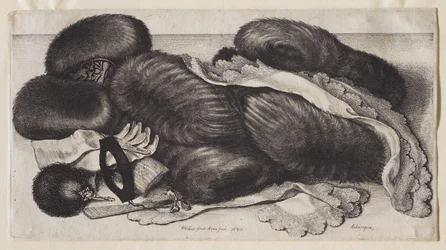 Un groupe de manchons