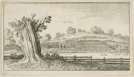 Albury avec une souche d