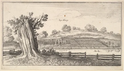 Albury avec une souche d