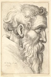 Vieil homme barbu de profil à droite, 1645