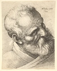 Vieil homme barbu avec la tête inclinée, 1645
