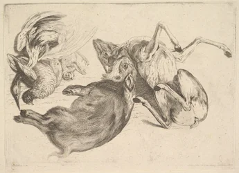 Sanglier, cerf, héron et autres gibiers