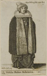 Noble femme bohémienne