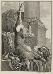 Lièvre mort