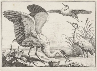 Trois hérons