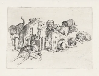 Onze chiens de chasse