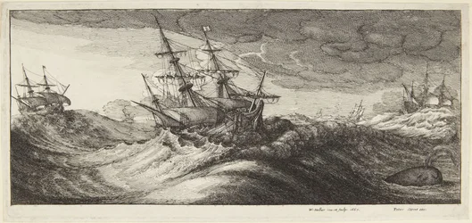 Marine dans la tempête