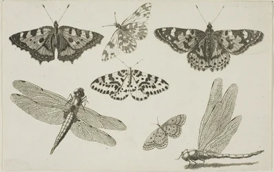 Deux Libellules et Cinq Papillons