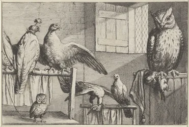 Faucons et hiboux dans une grange