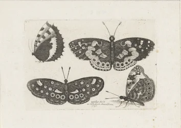 Quatre papillons