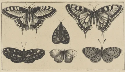 Cinq papillons et une mite