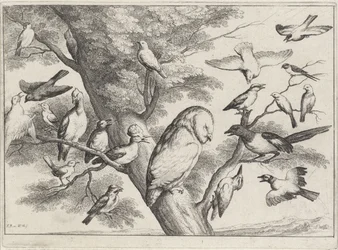 Oiseaux dans un arbre (série Différents oiseaux)
