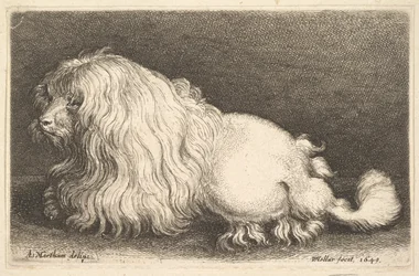Chien blanc