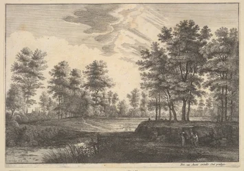 Paysage Boisé