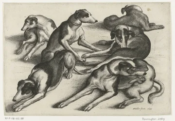 Six chiens de chasse couchés