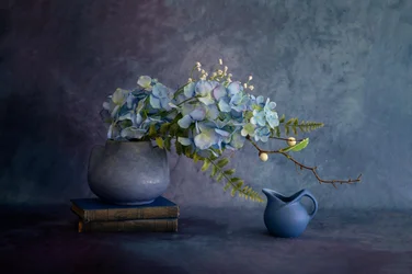 Nature morte élégante aux hortensias bleus
