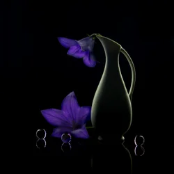 Fleurs violettes : une élégance sombre