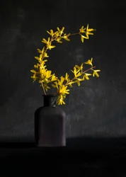 Vase « Forsythia jaune »