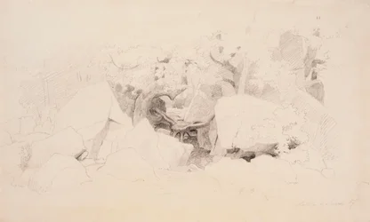 Copeaux de pierre dans la forêt