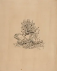 Sans titre
