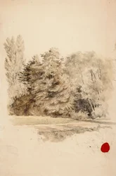 Sans titre