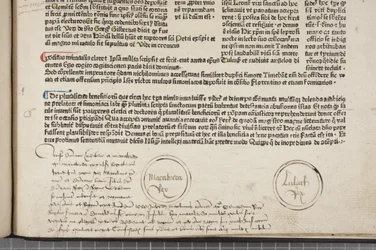Fol 54 recto, détail, Fasciculus Temporum