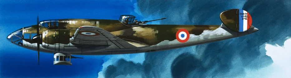 Dans le bleu : Les avions français de la Seconde Guerre mondiale
