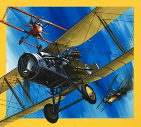 Les avions du passé : Le chasseur Bristol F2B