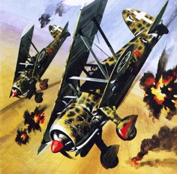Deux Fiat CR 42