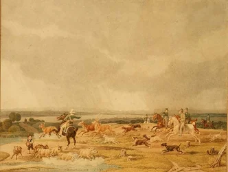 Une chasse au cerf