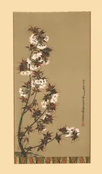 Les fleurs de cerisier de Mikawa, 19ème siècle, 1886