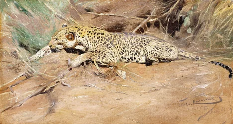Un Léopard