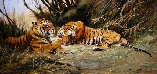 Tigres sibériens