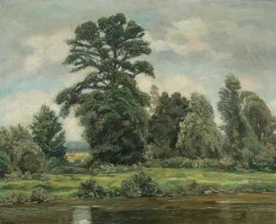 Paysage de marais
