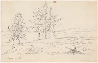 Paysage suédois