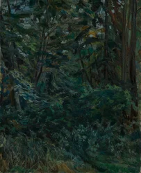 Intérieur de forêt