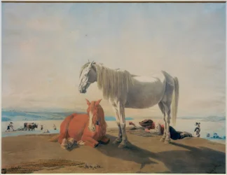 Chevaux paissant au lac de Starnberg