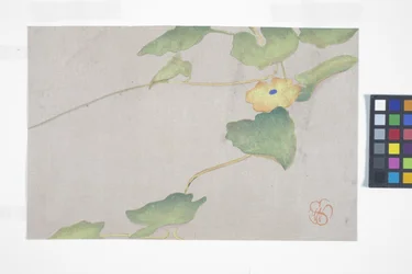 Étude de fleurs, c.1908