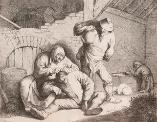 Éliminateur de poux, d