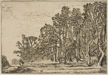 Paysage avec haies de planches et homme portant du bois