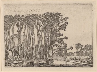Le charbonnier