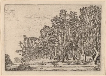 Deux haies de planches