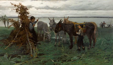 Garçons gardant les ânes