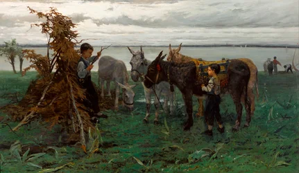 Garçons gardant des ânes