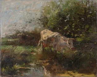 Prairie avec des vaches