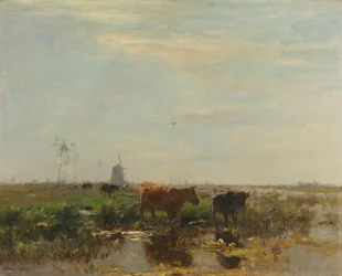 Prairie avec des vaches près de l