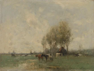 Prairie avec vaches