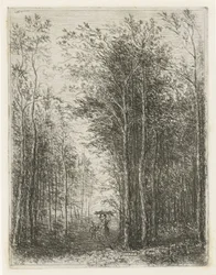 Paysage forestier avec ramasseurs de bois